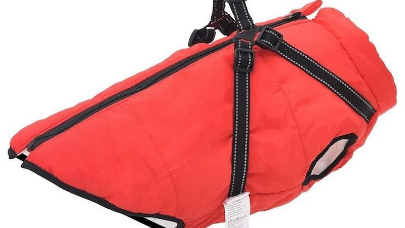 小型风冷式工业冷水机：揭秘其型号背后的选型逻辑**