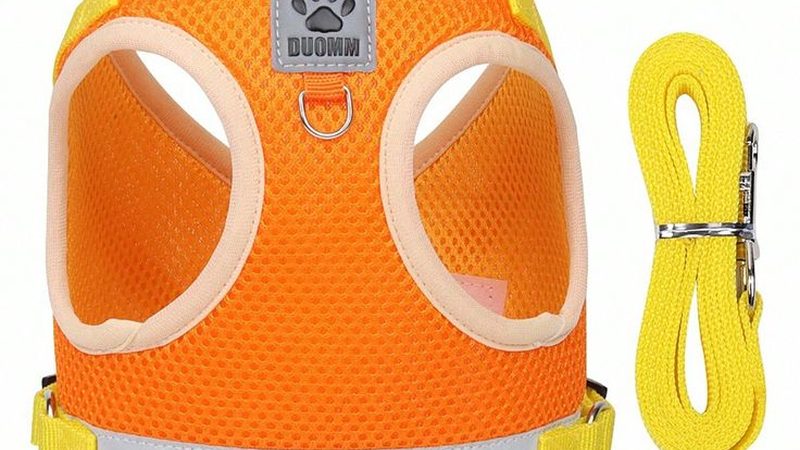 保鲜冷冻库安装：了解安装区别，确保库温稳定